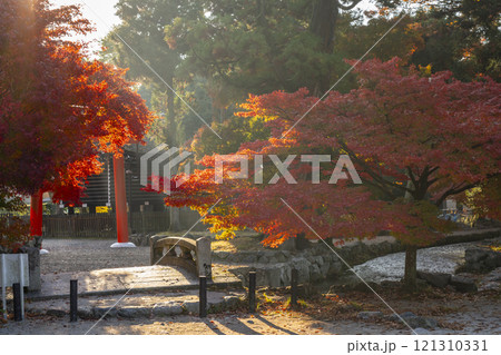 秋の京都　上賀茂神社　ならの小川に架かる神事橋 121310331