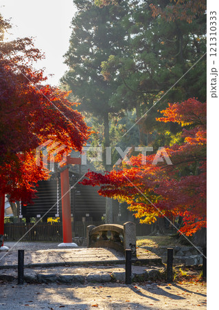 秋の京都　上賀茂神社　ならの小川に架かる神事橋 121310333