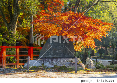 秋の京都　上賀茂神社　紅葉に包まれた藤原家隆の歌碑 121310334