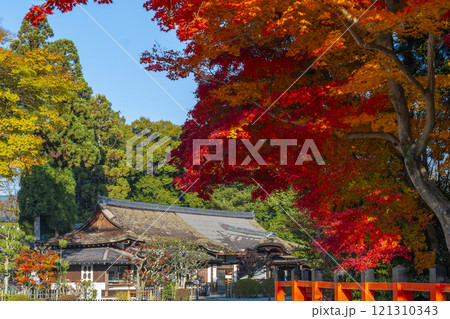 秋の京都 上賀茂神社 真っ赤に色づいたモミジ 秋の京都 上賀茂神社 真っ赤に色づいたモミジ 121310343