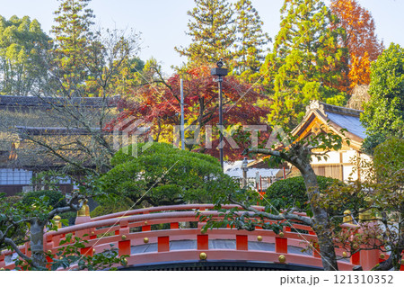 秋の京都　上賀茂神社　真っ赤に色づいたモミジ 121310352