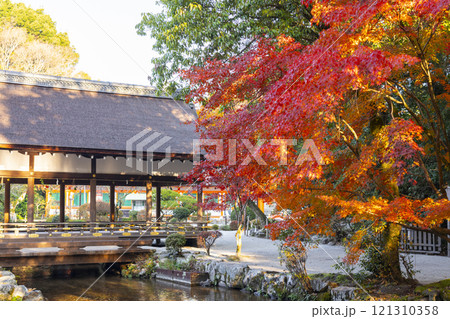 秋の京都 上賀茂神社 橋殿(舞殿)から見える紅葉 秋の京都 上賀茂神社 橋殿(舞殿)から見える紅葉 121310358
