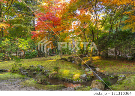 秋の京都　上賀茂神社　渉渓園の紅葉 121310364