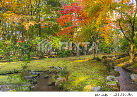 秋の京都　上賀茂神社　渉渓園の紅葉 121310366