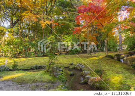 秋の京都　上賀茂神社　渉渓園の紅葉 121310367