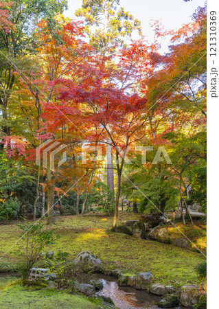 秋の京都 上賀茂神社 渉渓園の紅葉 秋の京都 上賀茂神社 渉渓園の紅葉 121310369