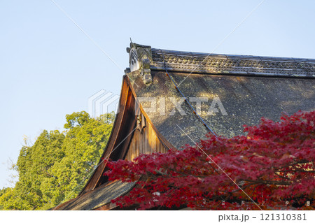 秋の京都 上賀茂神社 真っ赤に色づいたモミジ 秋の京都 上賀茂神社 真っ赤に色づいたモミジ 121310381