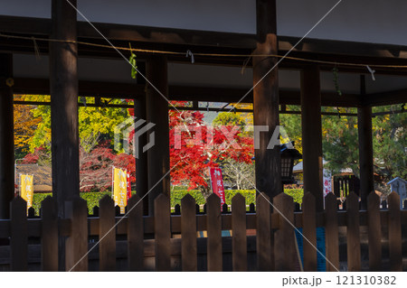 秋の京都　上賀茂神社　御所舎(外幣殿)から見える紅葉 121310382
