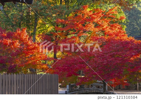 秋の京都　上賀茂神社　ならの小川に架かる神事橋と紅葉 121310384