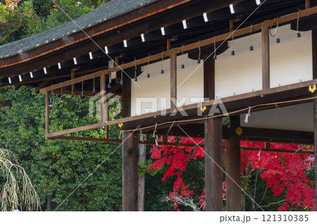 秋の京都 上賀茂神社 御所舎(外幣殿)から見える紅葉 秋の京都 上賀茂神社 御所舎(外幣殿)から見える紅葉 121310385