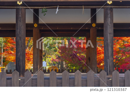 秋の京都　上賀茂神社　御所舎(外幣殿)から見える紅葉 121310387