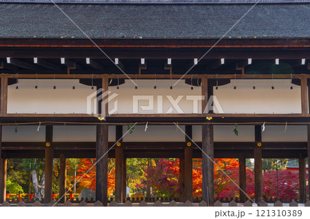 秋の京都　上賀茂神社　御所舎(外幣殿)から見える紅葉 121310389