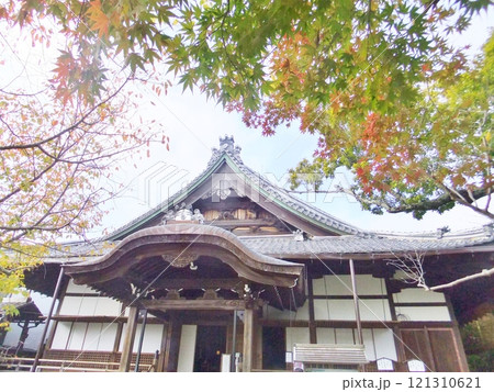 近江八幡　八幡山　村雲御所瑞龍寺門跡 121310621