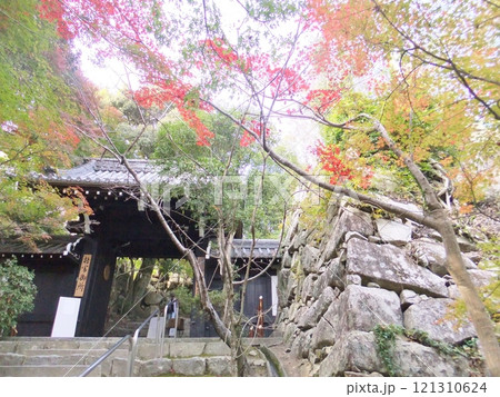 近江八幡 八幡山 村雲御所瑞龍寺門跡 近江八幡 八幡山 村雲御所瑞龍寺門跡 121310624