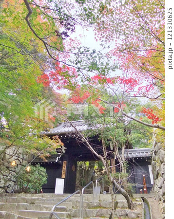 近江八幡 八幡山 村雲御所瑞龍寺門跡 近江八幡 八幡山 村雲御所瑞龍寺門跡 121310625