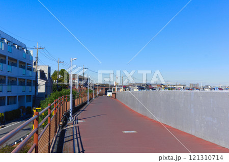 東京都江戸川区旧江戸川沿いの道2024年12月 121310714