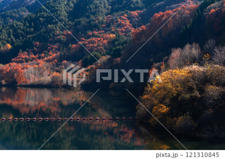 241121丹生川ダムg355 121310845