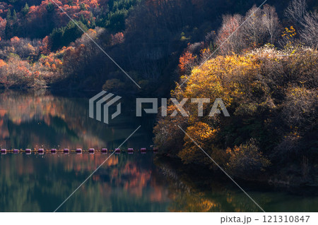 241121丹生川ダムg365 121310847