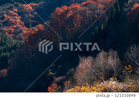 241121丹生川ダムg368 241121丹生川ダムg368 121310849