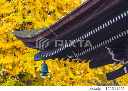 241127飛騨国分寺g006 241127飛騨国分寺g006 121311423