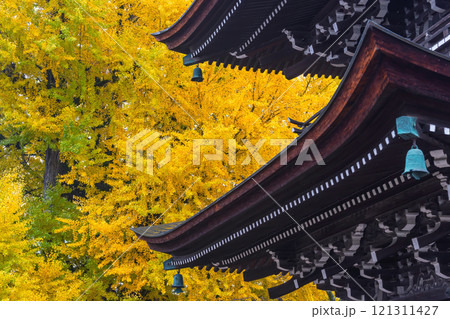 241127飛騨国分寺g014 241127飛騨国分寺g014 121311427