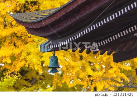 241127飛騨国分寺g018 121311429