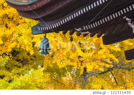 241127飛騨国分寺g021 121311430