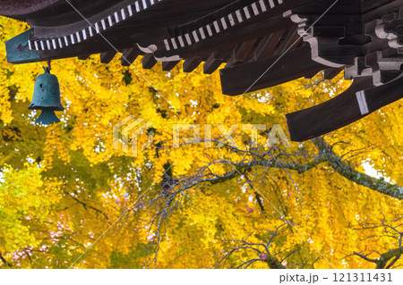 241127飛騨国分寺g022 121311431