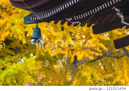 241127飛騨国分寺g026 121311434