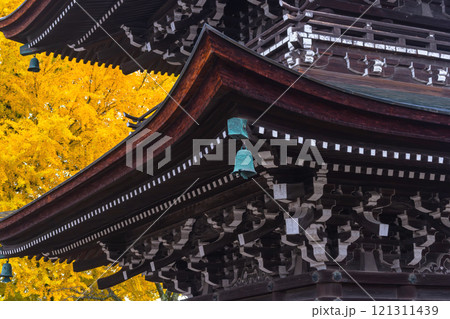 241127飛騨国分寺g041 121311439