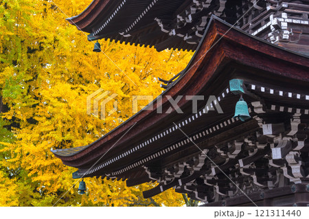 241127飛騨国分寺g042 121311440