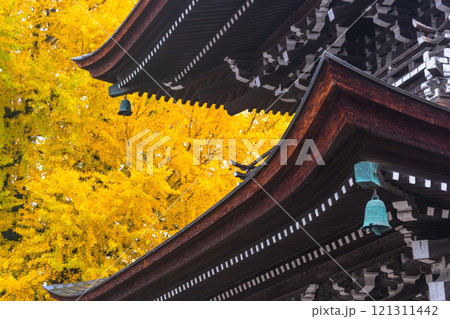 241127飛騨国分寺g045 241127飛騨国分寺g045 121311442