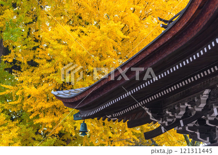 241127飛騨国分寺g053 121311445