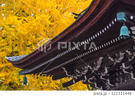 241127飛騨国分寺g056 241127飛騨国分寺g056 121311446