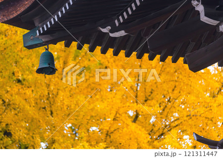 241127飛騨国分寺g059 121311447