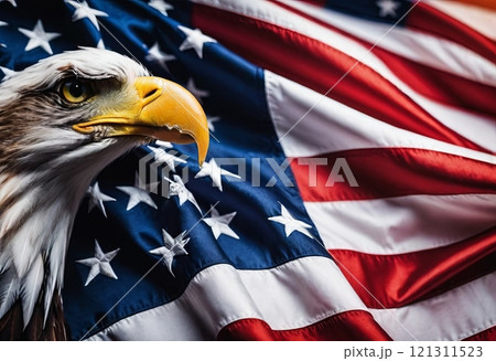 United States of America flag background 121311523