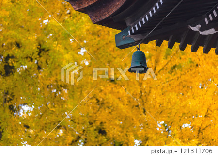 241127飛騨国分寺g060 121311706