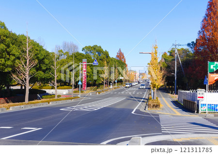 埼玉県越谷市総合体育館周辺2024年12月 121311785