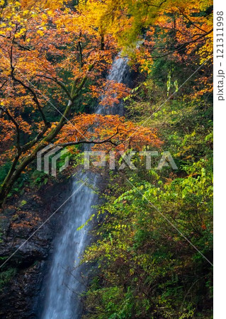 養老の滝 121311998