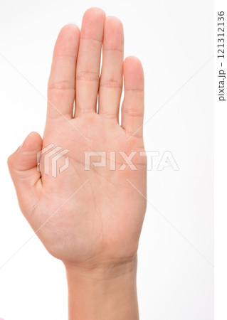 Open hand raised against a white background 121312136