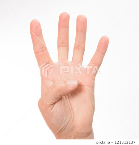Hand gesturing the number four against a white backdrop. Hand gesturing the number four against a white backdrop. 121312137