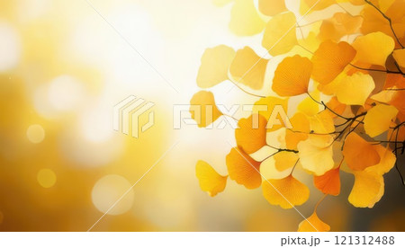 《AI画像》黄色く紅葉したイチョウの葉っぱ 121312488