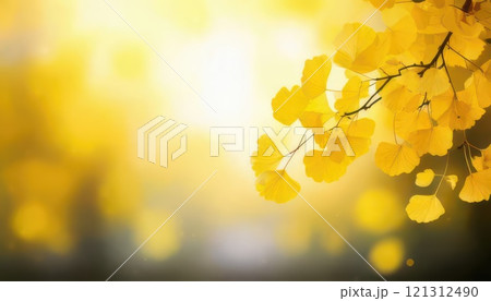《AI画像》黄色く紅葉したイチョウの葉っぱ 121312490