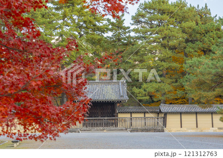 秋の京都　京都御苑　真っ赤なモミジと仙洞御所正門 121312763