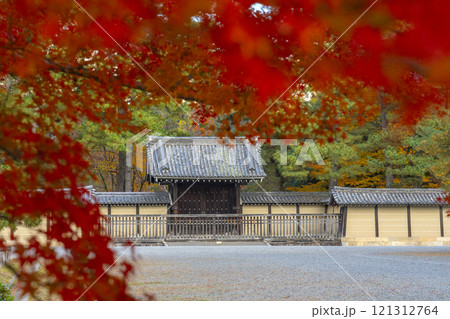秋の京都 京都御苑 真っ赤なモミジと仙洞御所正門 秋の京都 京都御苑 真っ赤なモミジと仙洞御所正門 121312764