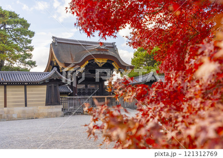 秋の京都　京都御苑　真っ赤なモミジと建春門 121312769