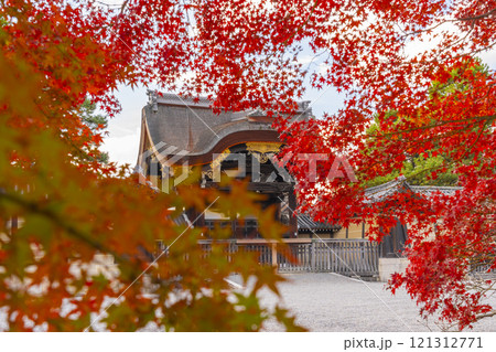 秋の京都　京都御苑　真っ赤なモミジと建春門 121312771