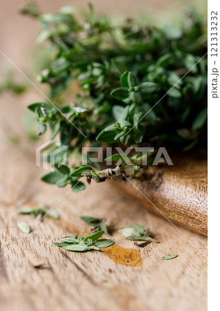 fresh green Thyme herb plant 121313232