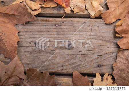 Close up of multiple autumn leaves with copy space on wooden surface Close up of multiple autumn leaves with copy space on wooden surface 121315771