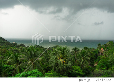 Expansive tropical foliage meets the ocean, hinting at a rainy horizon and adventure to come.Koh Phangan. Thailand.  121316222